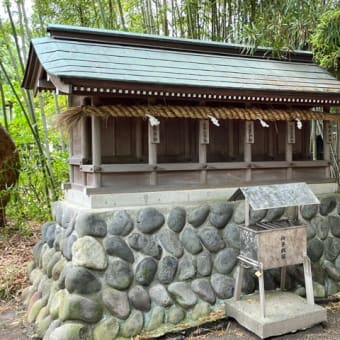 夏越しの祓行ってきた