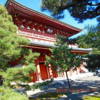 大徳寺高桐院の散り紅葉　観てきました