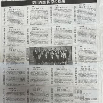 解散総選挙のあり方はこれで良いのか？