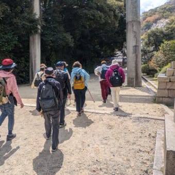 第１回ハイキング2025（石清水八幡宮、背割り堤お花見ハイキング）