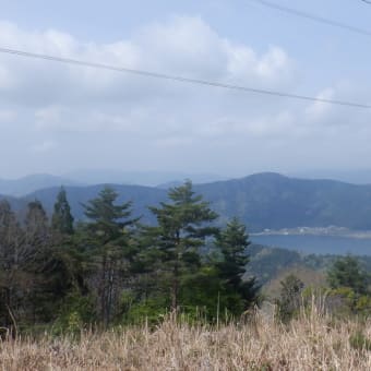 今日は木之本
