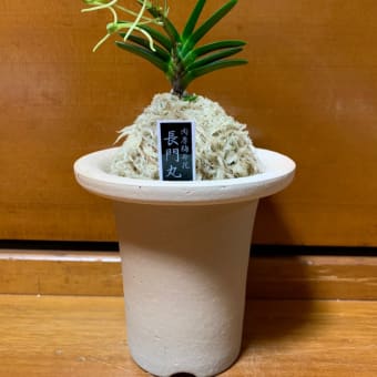 長門丸