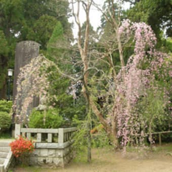 筑波神社（7）