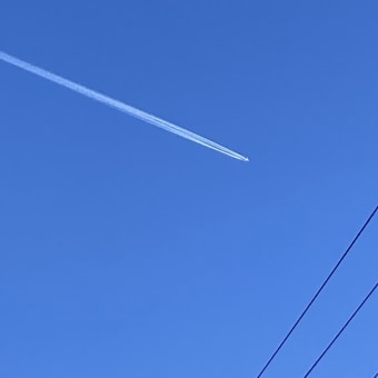 行けなかった中東。。。