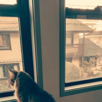 ピピのお仕事・・ホームセキュリティーサービス