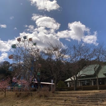 さよならブラキオサウルス