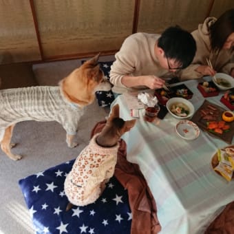 食い意地はってまーす