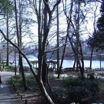 吉祥寺と天気