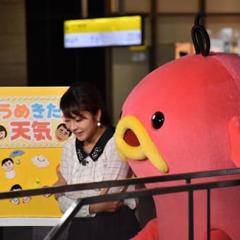 メインが、、、