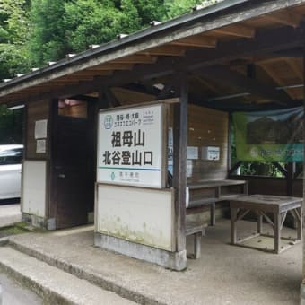 祖母山へ　オオヤマレンゲ鑑賞登山