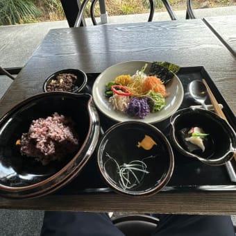 花粉症の症状を報告しておこう