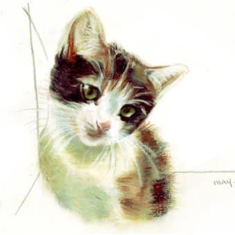 多謝！　ブルネロさん。　Baby Yukke-chan 詰め合わせ（再アップ）　(=^^=)