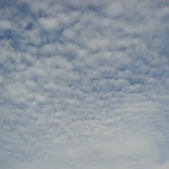 今日の朝の雲とラスくん