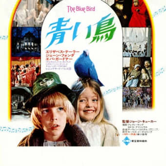 苦っ苦苦っ苦😱私の青い鳥