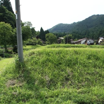 2012年　西粟倉村「湯の里　米づくりオーナー制度」・田植えから「42日」過ぎました♪「2012年6月24日」♪
