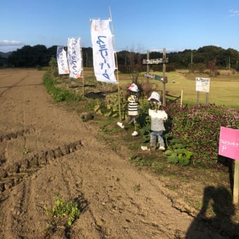 畑の中の一軒家、ならぬ一件野なり❗️〜