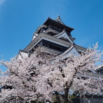 熊本城の春 