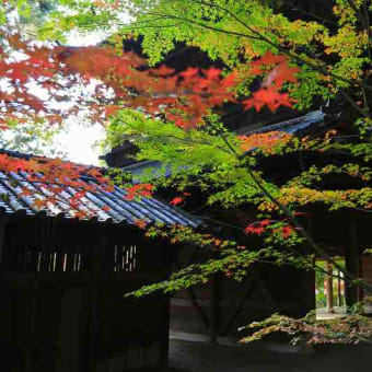 曹源寺