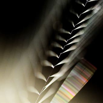 第４回「四木友の会」写真展（２０１９年）作品