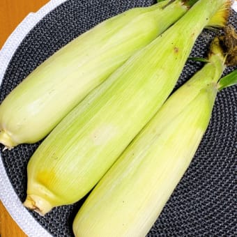 初物おすそ分け☆