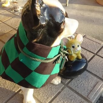 鬼滅の刃　我が家の炭治郎犬