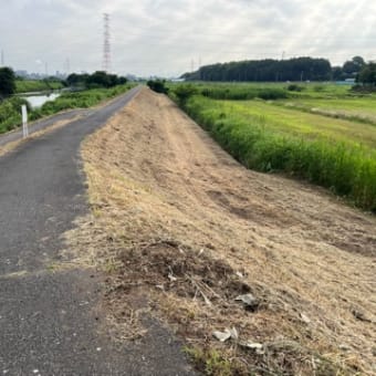 一晩では抜けない