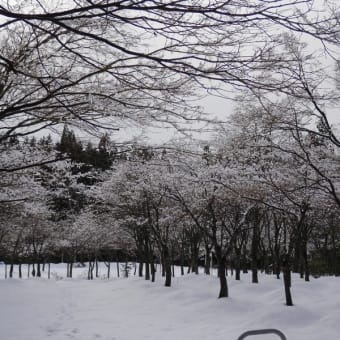 井川町で見た山が気になってしょうがないので・・