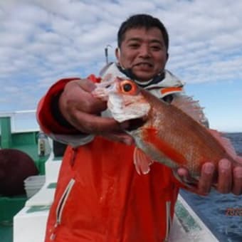 １月２日根回五目（鉛１５０号）メバル数十匹、真ゾイ数匹（二点掛け有り）赤ムツ（サメの横取り数匹有り）根回りメバル、赤ムツ狙い８、９日そのほかも予約受付中今年もよろしくお願いします