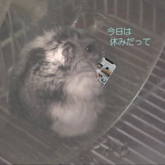 「ＳＮＳを要確認」って？