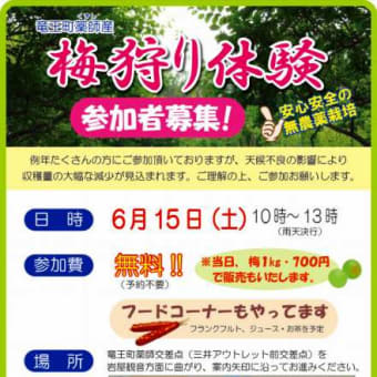 梅狩り体験 参加者募集（滋賀県竜王町）