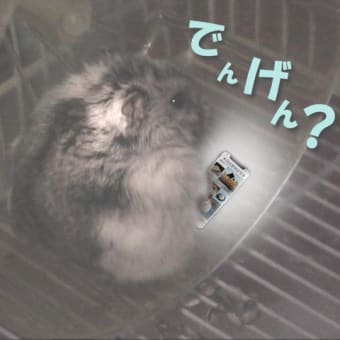 「出めりともあるので」って？