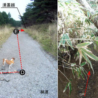 八丁原登山口より一目山・ミソコブシ・湧蓋山往復縦走する