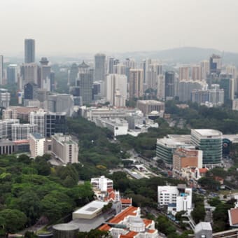 61階からのシンガポールの絶景