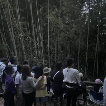 駅頭、久木中体育祭、ホタルの観察会