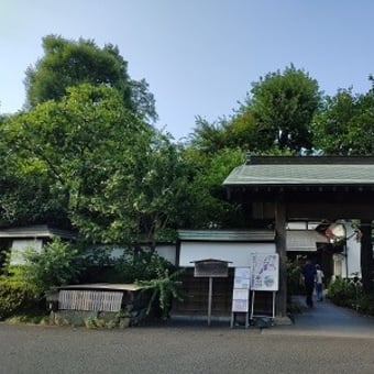 耕心館のカフェが素敵だった！【東京都瑞穂町】