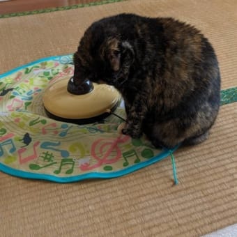 出ます（笑）