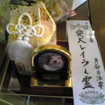 一緒に月命日