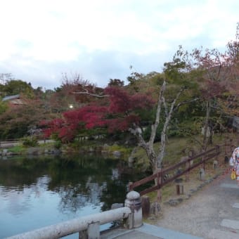 京都の紅葉(2018/11/4）八坂神社・円山公園
