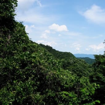 御斎峠（おとぎとうげ）家康が本能寺の変で避難した峠