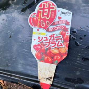 里山保全