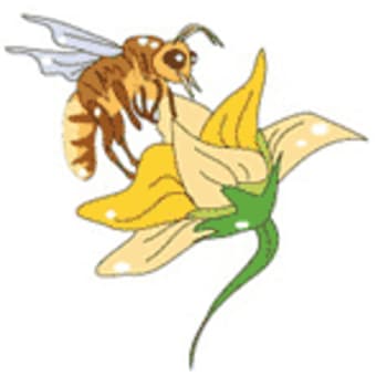 5月31日のイソップ童話 ミツバチとヒツジ飼い