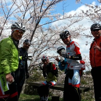 岩城島花見サイクリング