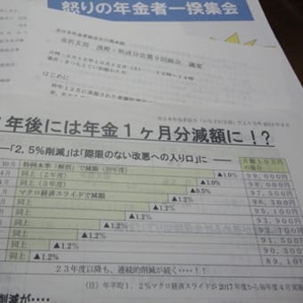 年金者怒る！