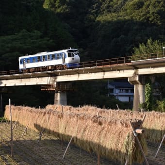 にっぽん丸（あしずり港入港）など（１日目）、四万十テツなど（２日目）で高知をうろうろドライブ！