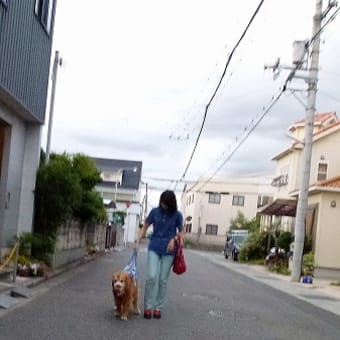 カメラマン付きでお散歩♪