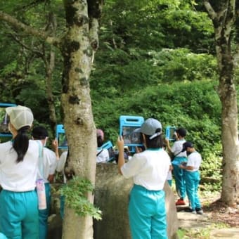 ５年生，川の見学に行ってきました。