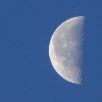 「界隈」は「派」の進化系？