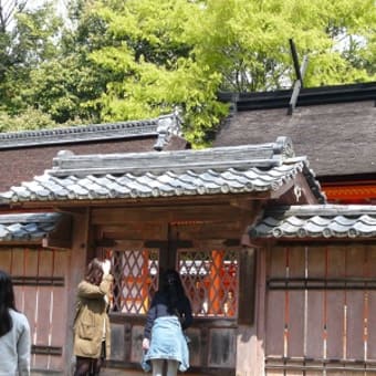 2011年4月24日(日)　仁和寺