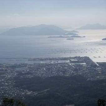 紅葉の裏山歩き