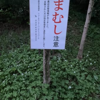 地球にやさしい生活
